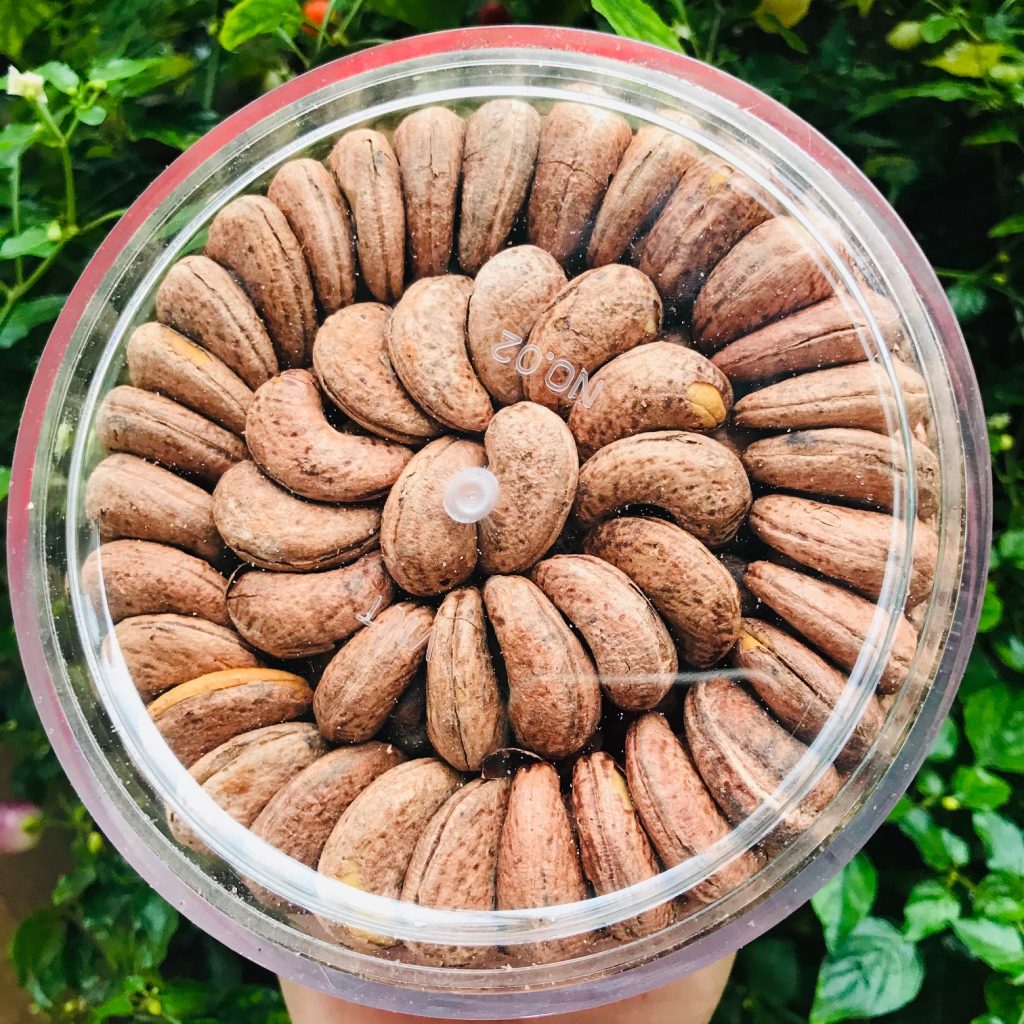 Hạt Điều rang muối Noble Nuts – Xưởng sỉ hạt dinh dưỡng ĐẠI NGÀN Food